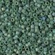 DB2311 Miyuki Delica Seed Beads 11/0 Frosted Opq Glazed RB Green