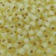 Toho Seed Beads Round Size 6/0 26GM Permafinish TL SL Jonquil