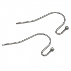  Stainless Steel Hook Earwires, 20pcs / 10 Pairs 