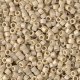 DB2301 Miyuki Delica Seed Beads 11/0 Frosted Opq Glazed RB Ivory