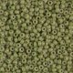 Miyuki Round Seed Beads Size 8/0 DURACOAT Opaque Forest 22GM