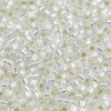 DB041 Miyuki Delica Seed Beads 11/0 Silver Lined Crystal 7.2GM