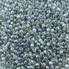 Seed Beads Round Size 11/0 28GM Transp RB Black Diamond