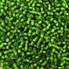 Seed Beads Round Size 11/0 28GM Matte Silver Lined Kelly Green