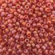 Seed Beads Round Size 11/0 28GM Trans Matte Red Rainbow