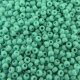 Seed Beads Round Size 11/0 28GM Opaque Turquoise