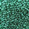 Seed Beads Round Size 11/0 28GM PermaFinish Galvanized Green Trq