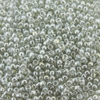 Seed Beads Round Size 11/0 28GM Transparent LS Black Diamond