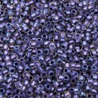 Seed Beads Round Size 11/0 28GM Inside Color RB Metallic Purple